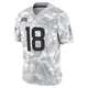 Limited Arctic Camo Men's Peyton Manning Denver Broncos 2024 Salute to Service Jersey