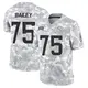 Limited Arctic Camo Men's Quinn Bailey Denver Broncos 2024 Salute to Service Jersey